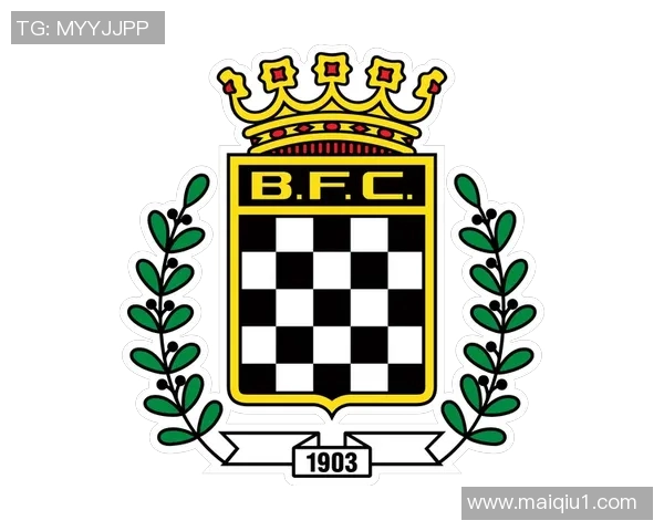 博阿维斯塔足球俱乐部的辉煌历程与未来发展展望