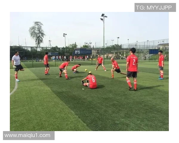 2017年巴西与荷兰激战回顾足球盛宴中的精彩瞬间与战术分析